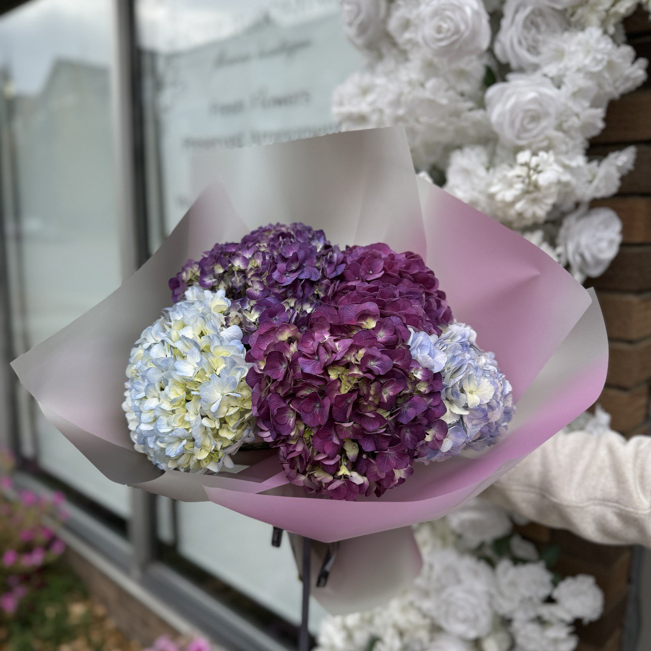 Premium Hydrangea Mix