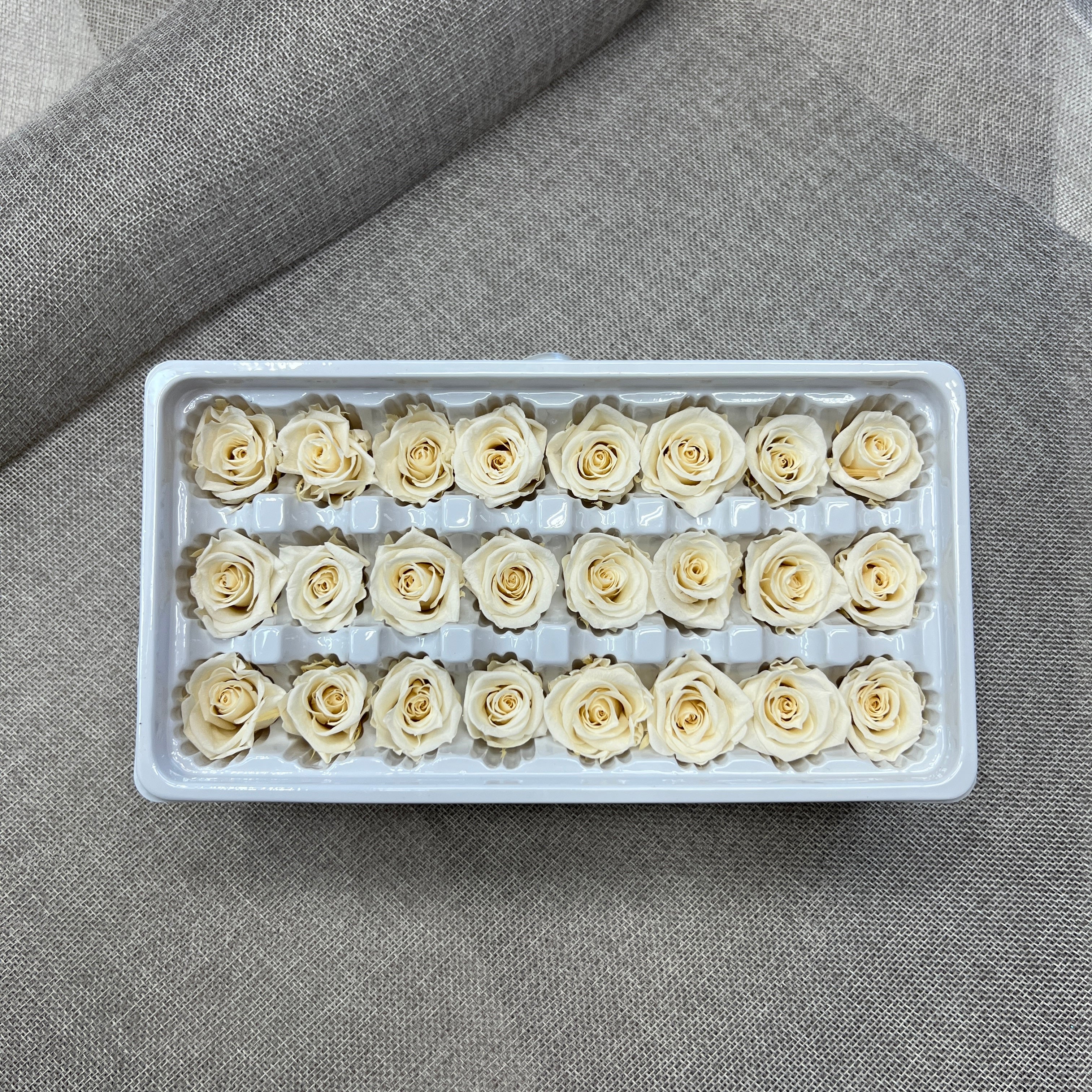 Preserved Roses Box (24 pcs)