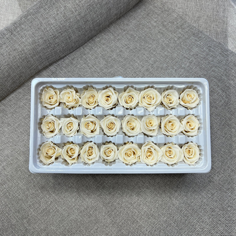 Preserved Roses Box (24 pcs)