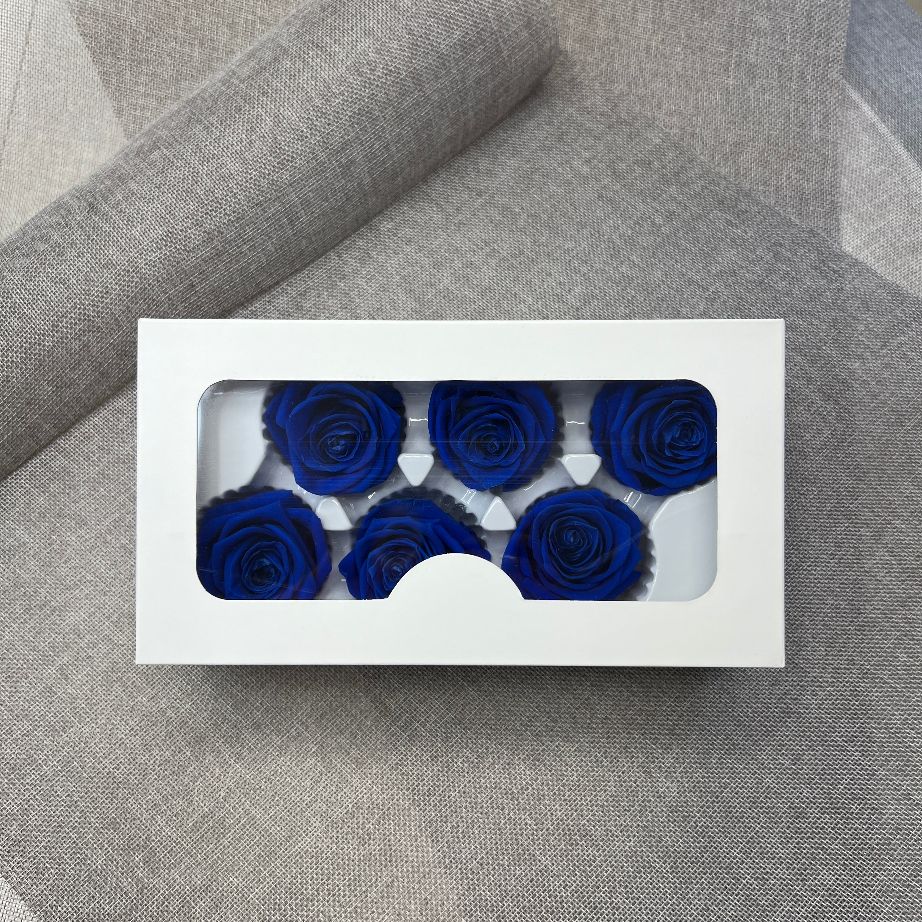 Preserved Roses (Blue)