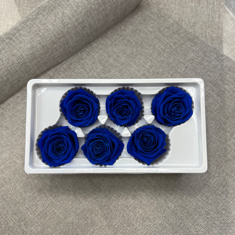 Preserved Roses (Blue)