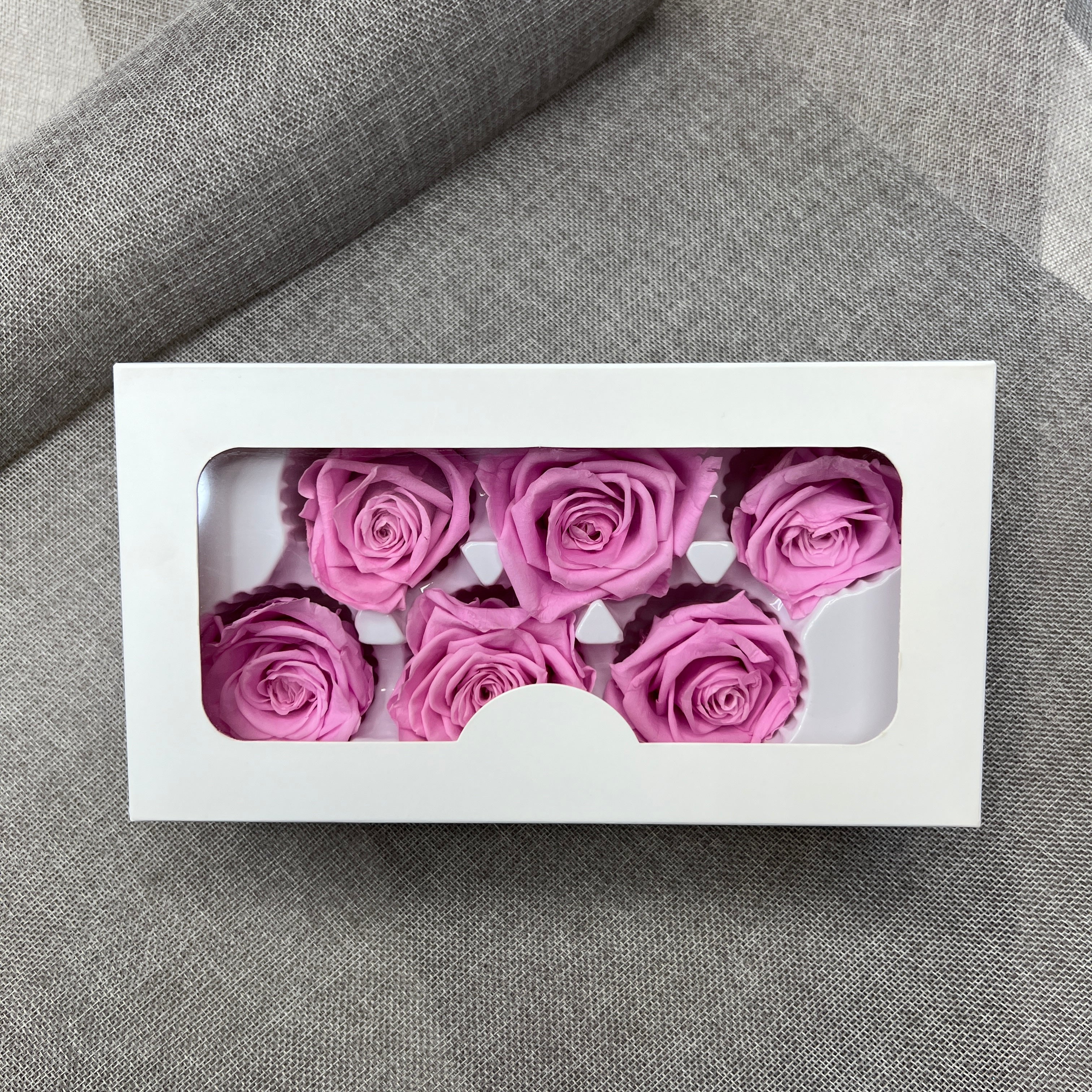 Preserved Roses (Pink)