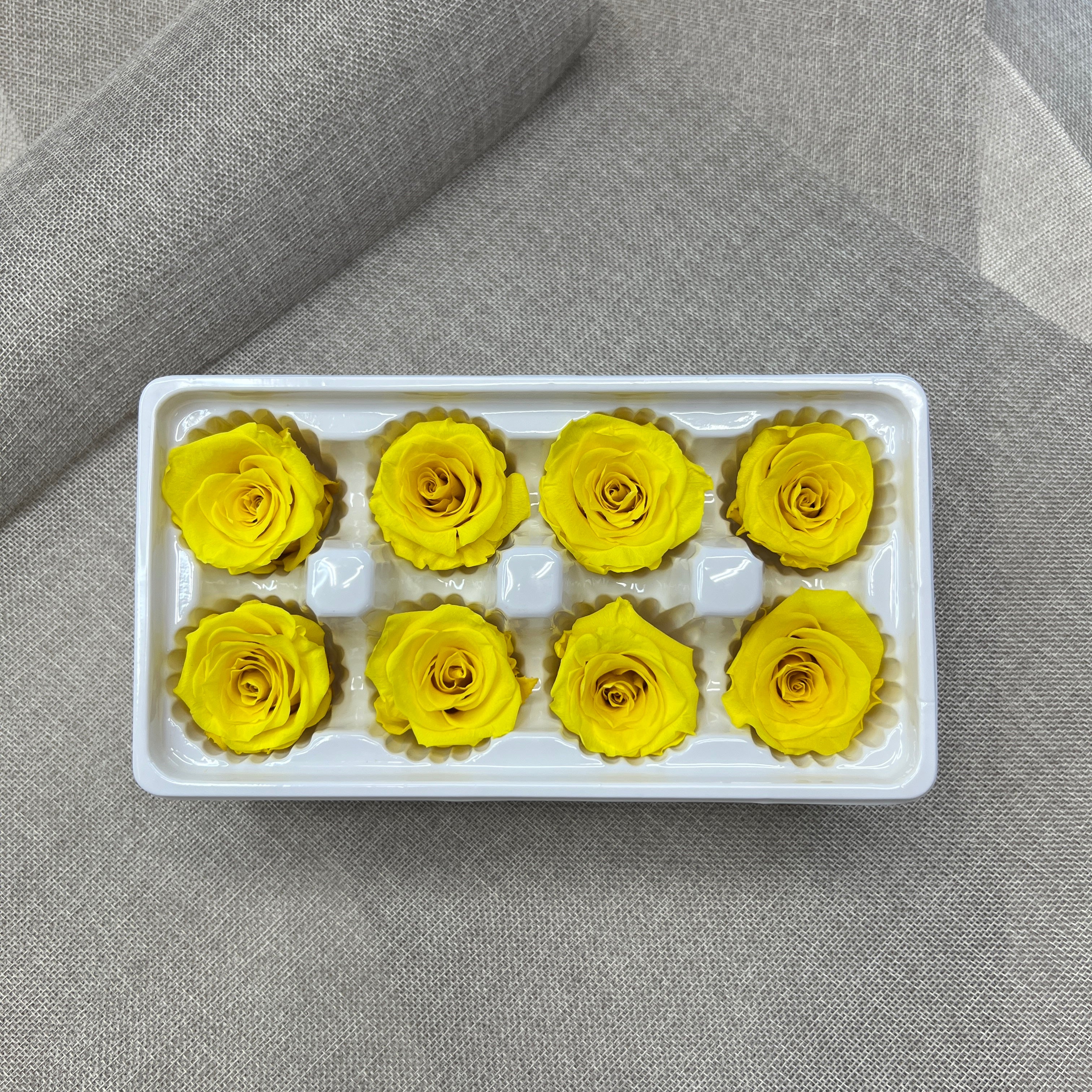 Preserved Roses (Yellow)