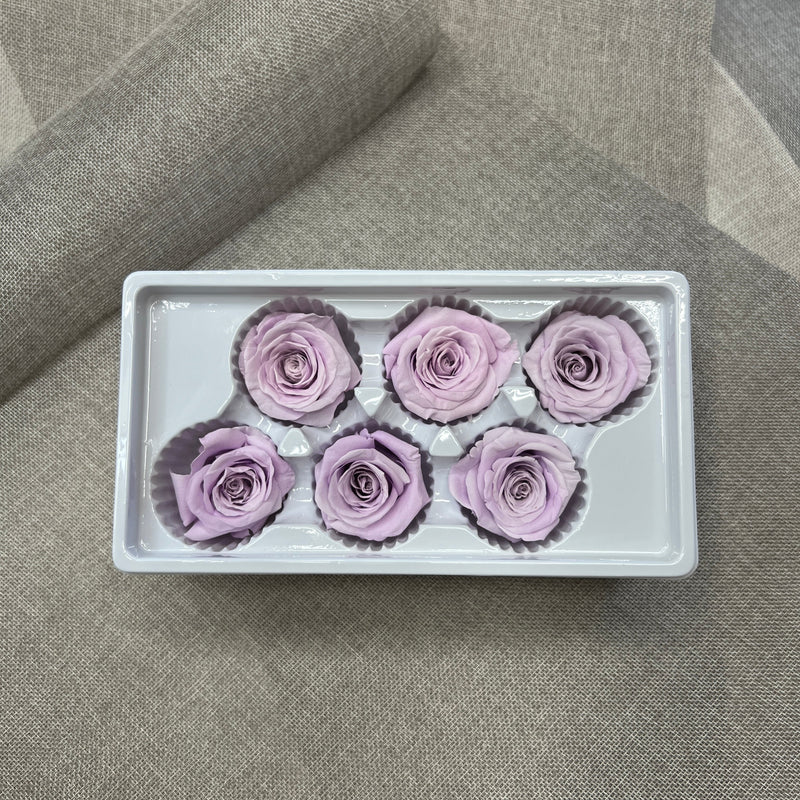 Preserved Roses Light Box