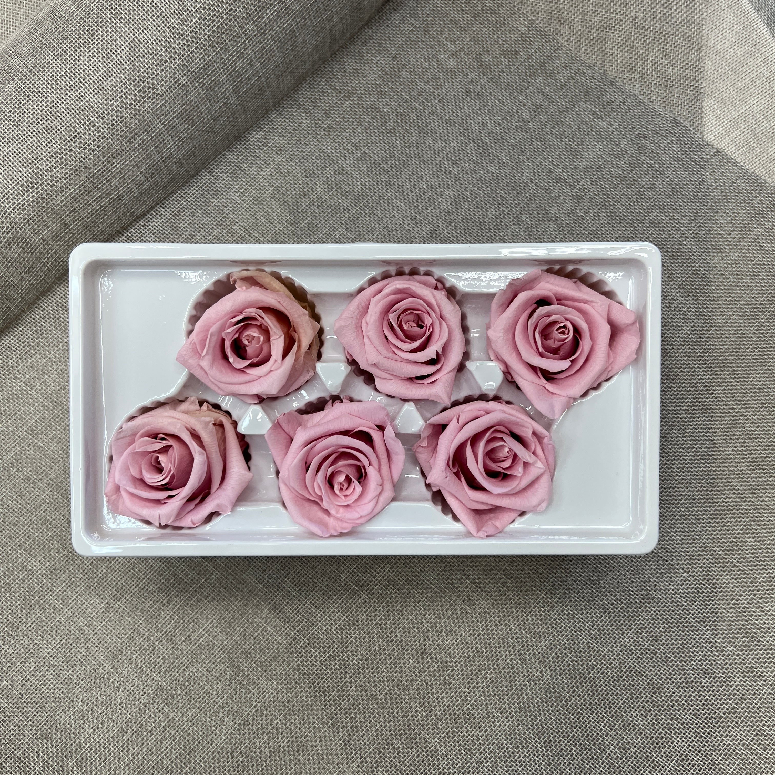 Preserved Roses Box (Light Pink)