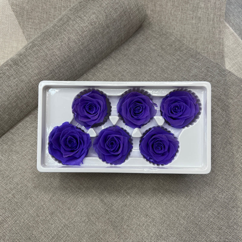 Preserved Roses Box for Gift