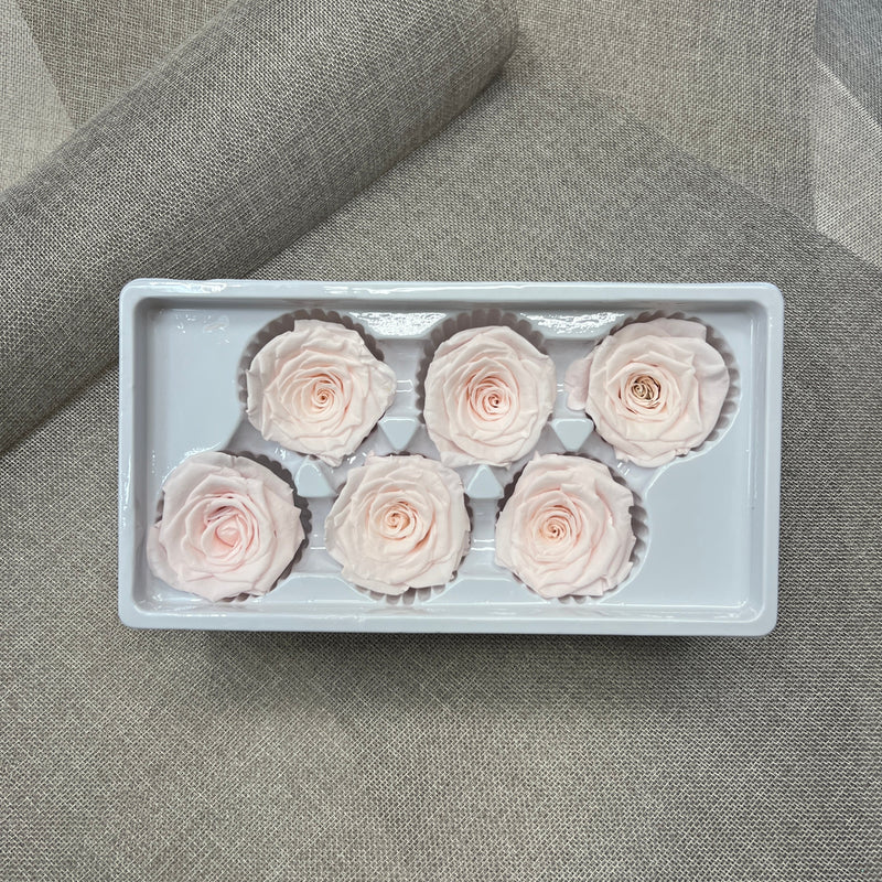 Preserved Roses Box (Sweet Pink)