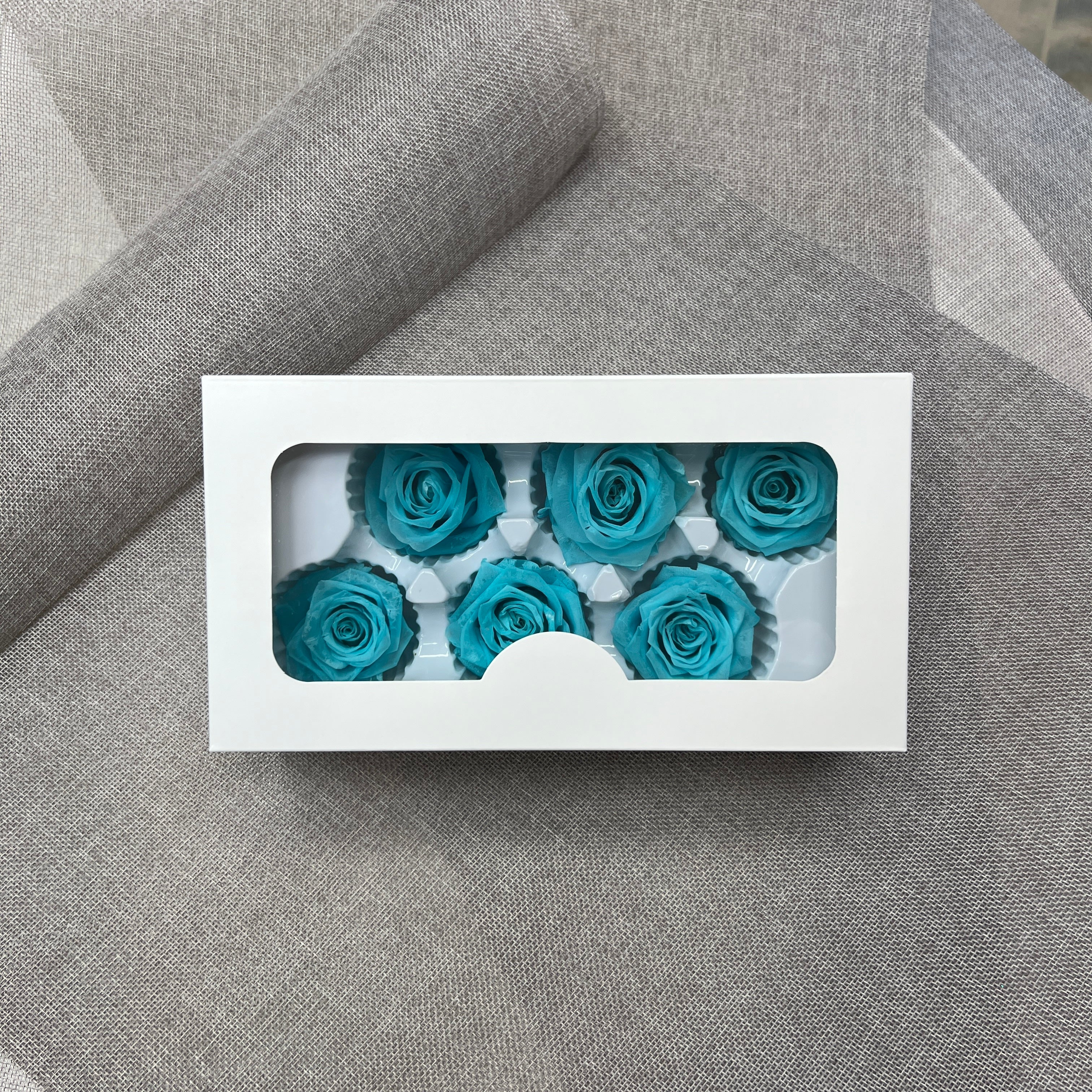 Preserved 6 Roses Box