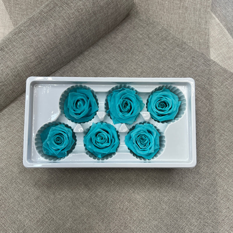 Preserved 6 Roses Box