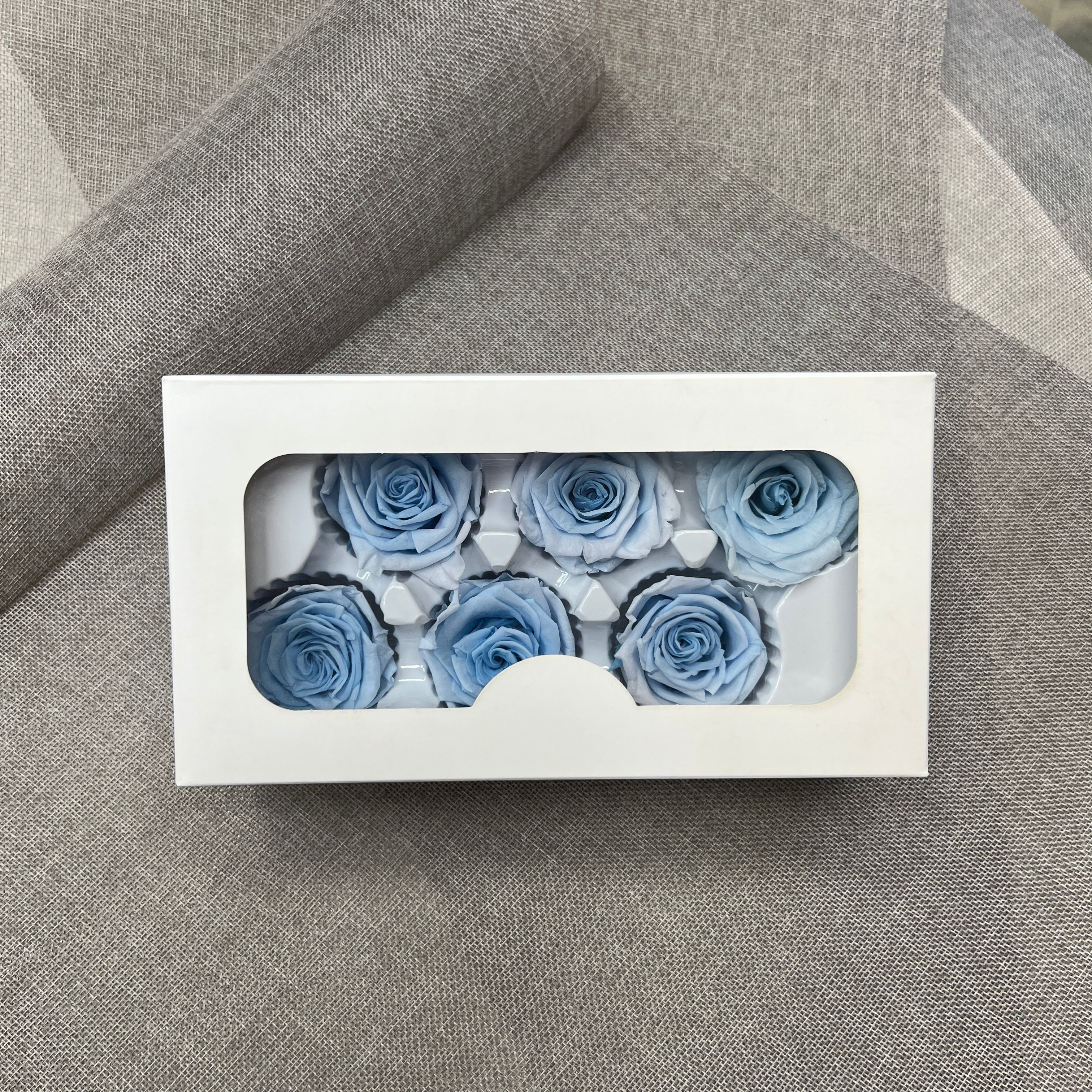 Preserved Roses Blue (6 pcs)