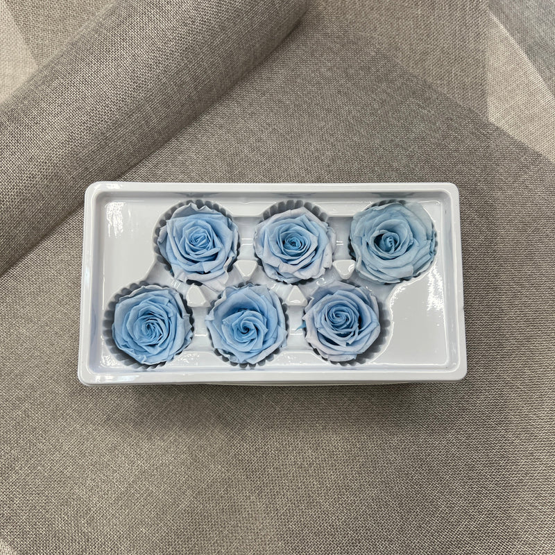 Preserved Roses Blue (6 pcs)