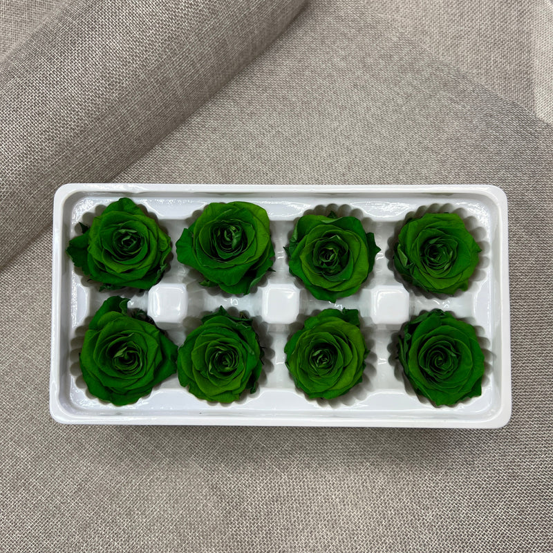 Preserved Green Roses Box (6 pcs)