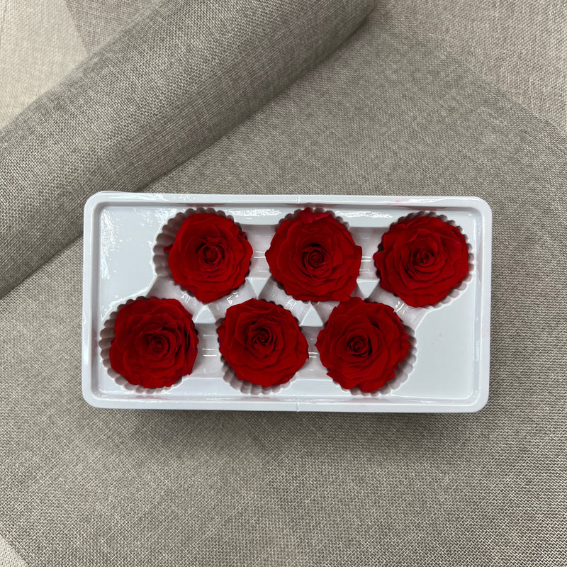 Preserved Red Roses Box