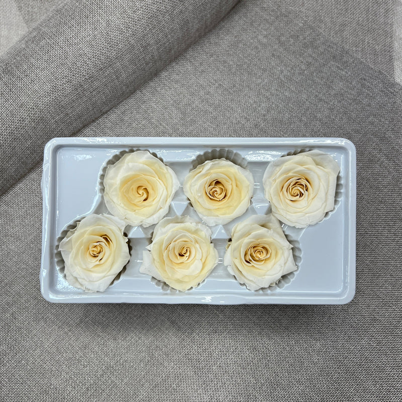 Preserved Roses Box (Cream)