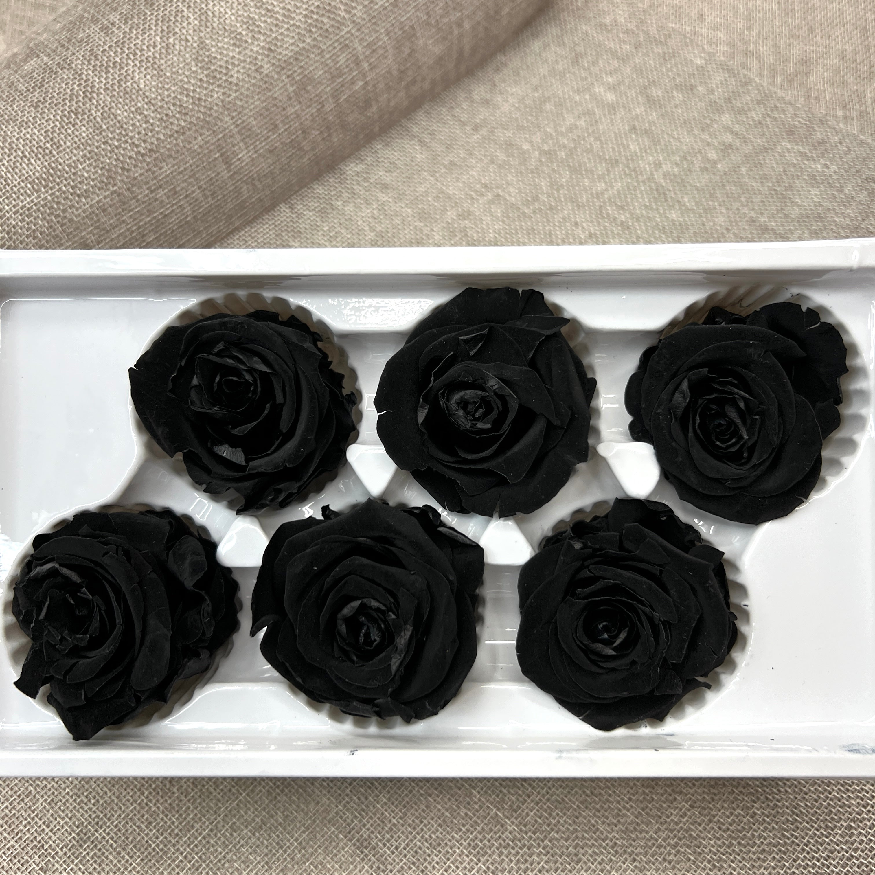 Preserved Roses Box (Black)