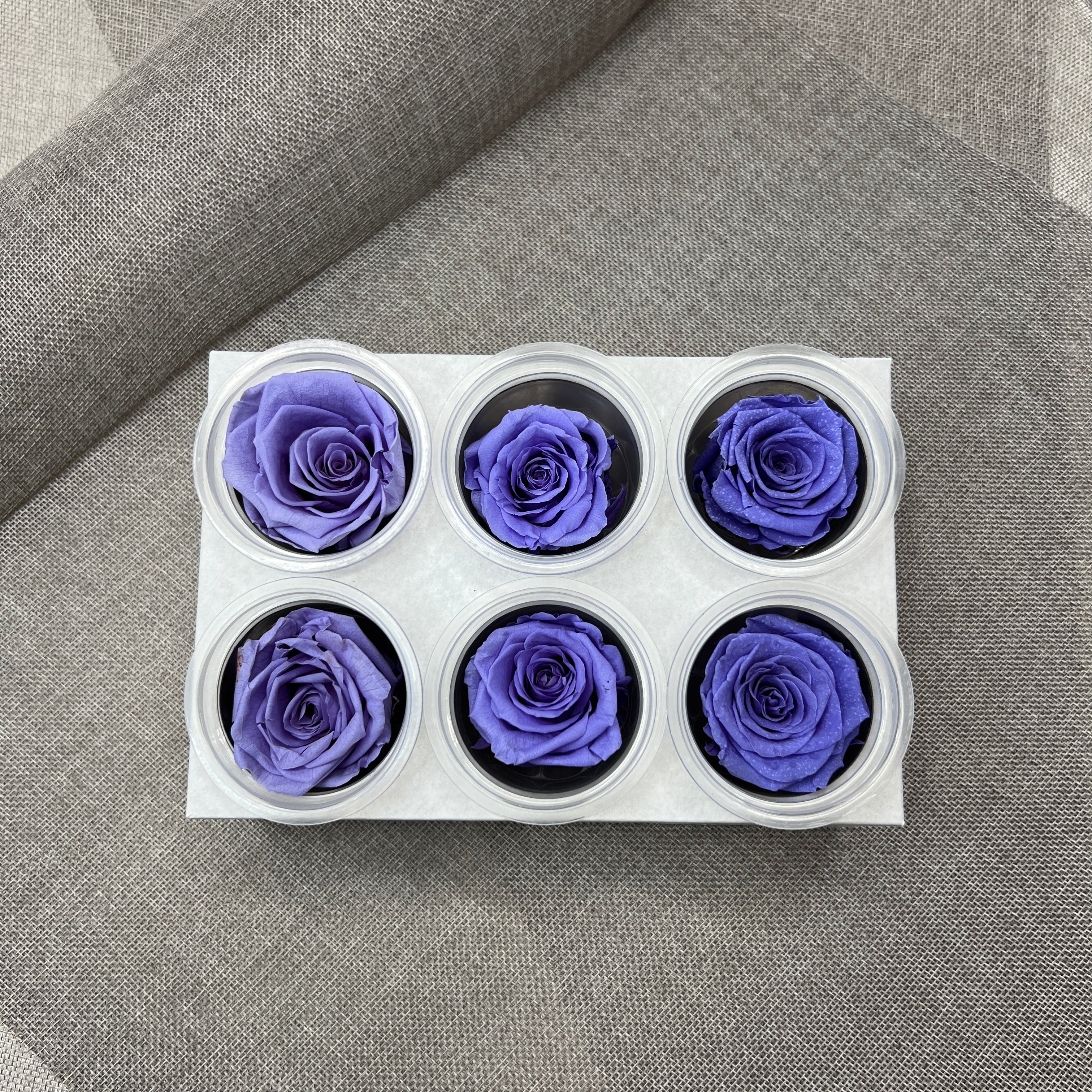 Preserved Roses Blue 6 pcs