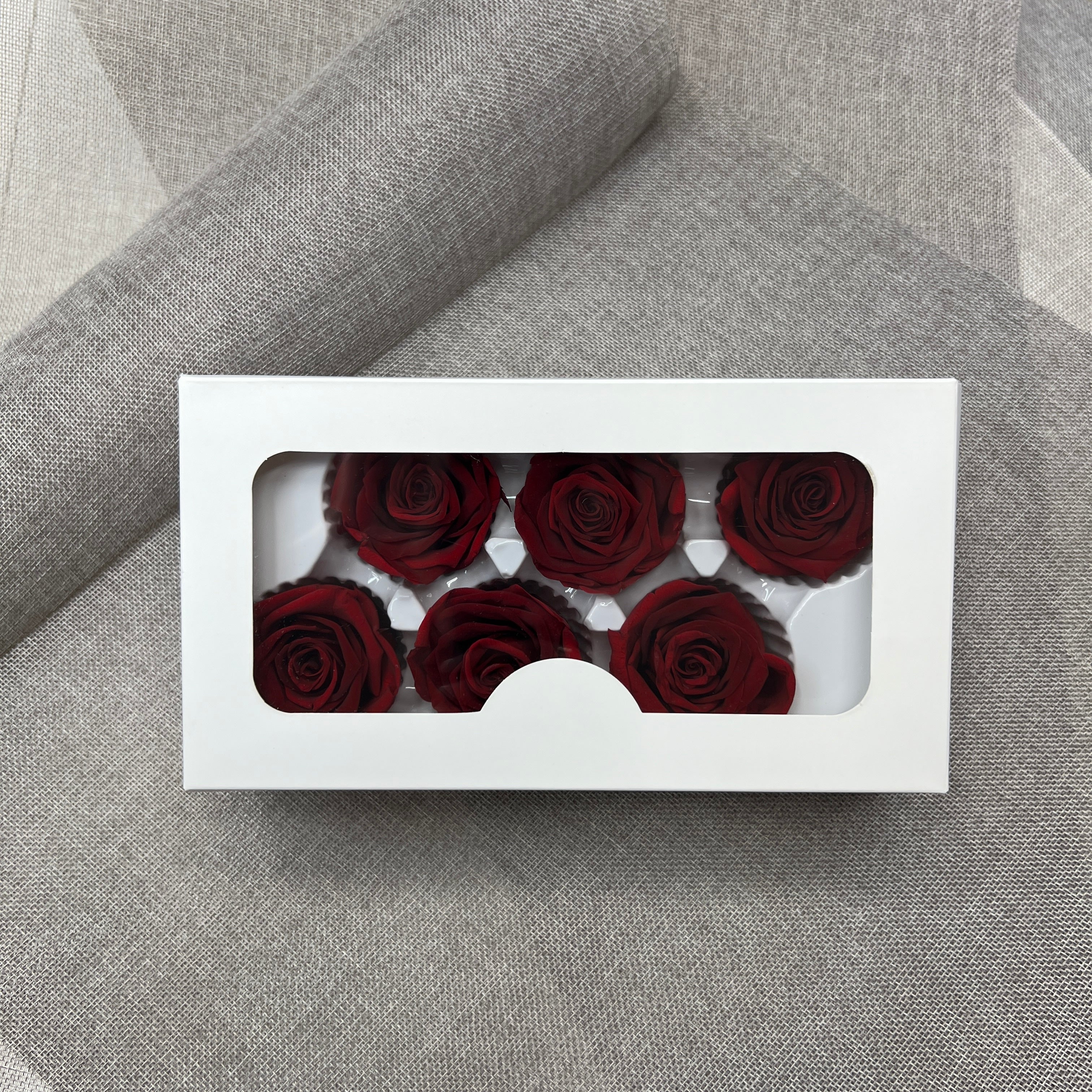 Preserved Roses (Red) 6 pcs