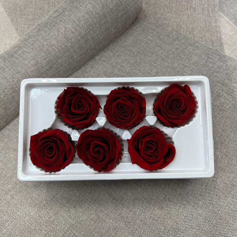 Preserved Roses (Red) 6 pcs