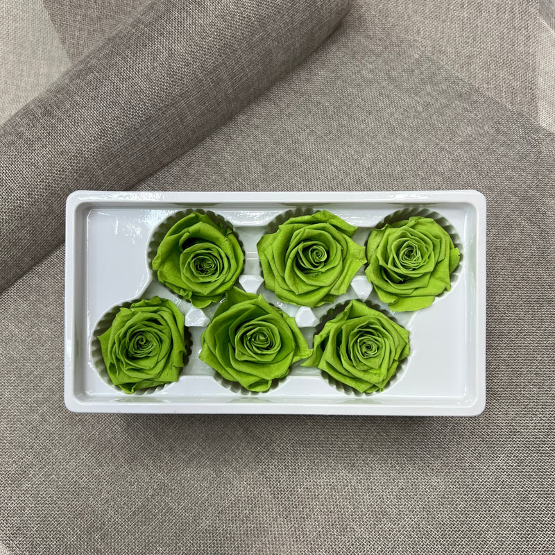 Preserved Roses Greed 6 pcs