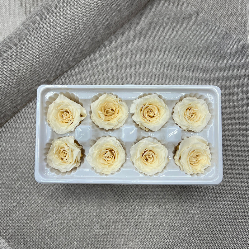 Preserved Roses Box (Cream 8)