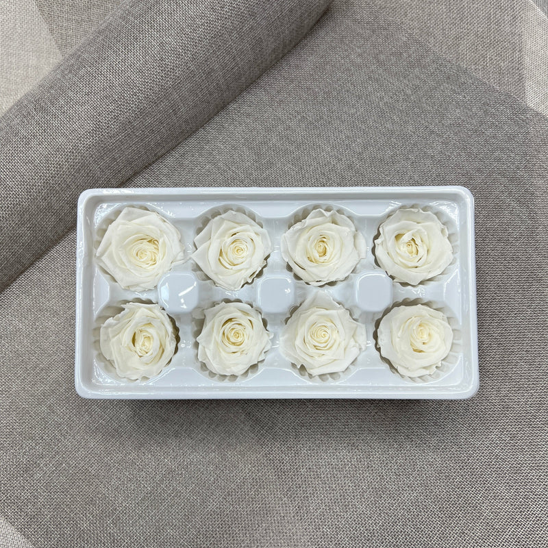 Preserved Roses (White)