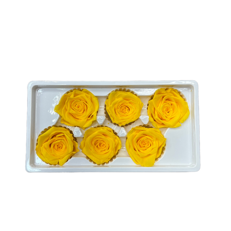 Preserved Roses (Yellow) 6 pcs