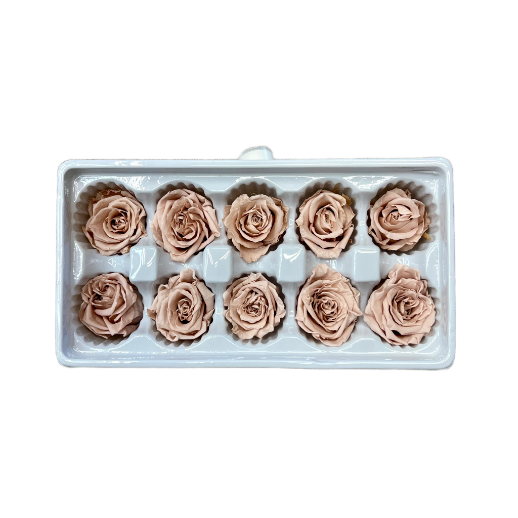 10 Preserved Roses Box