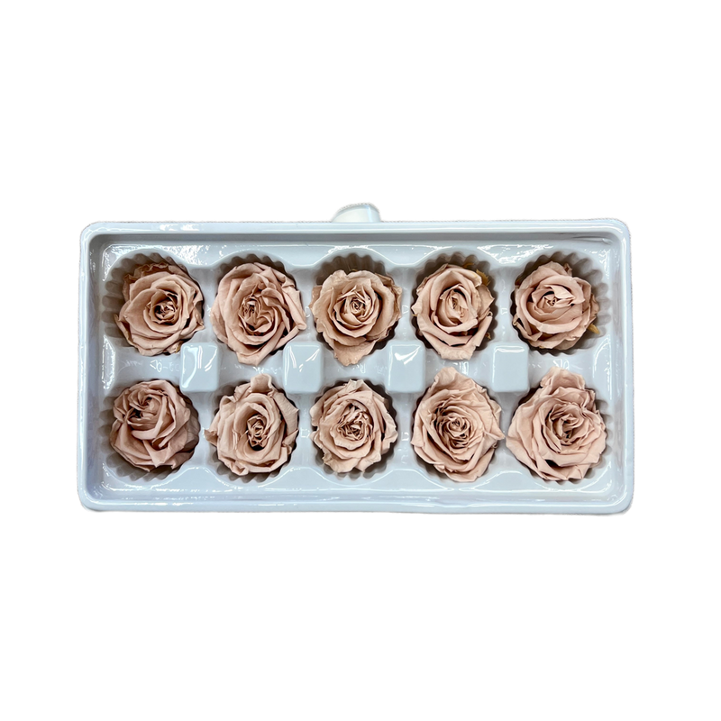 10 Preserved Roses Box