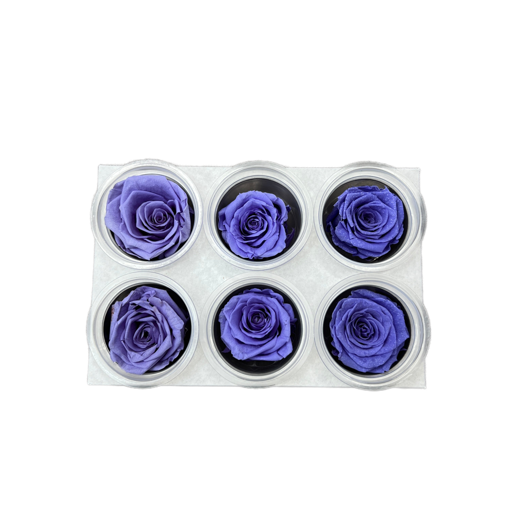 Preserved Roses Blue 6 pcs