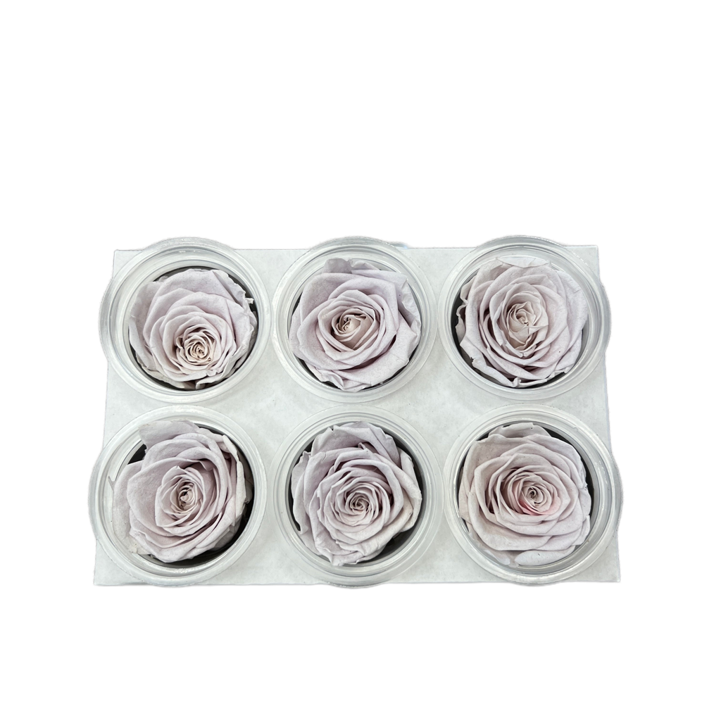 Preserved Roses Box fo Gift