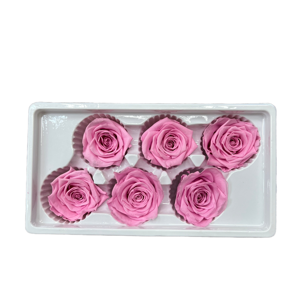 Preserved Roses (Pink)