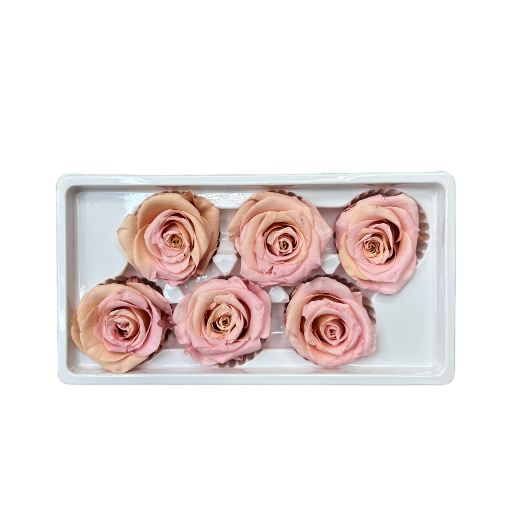 Preserved Roses Box (Pink Peach)