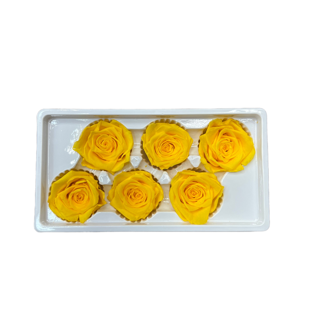 Preserved Roses (Yellow) 6 pcs