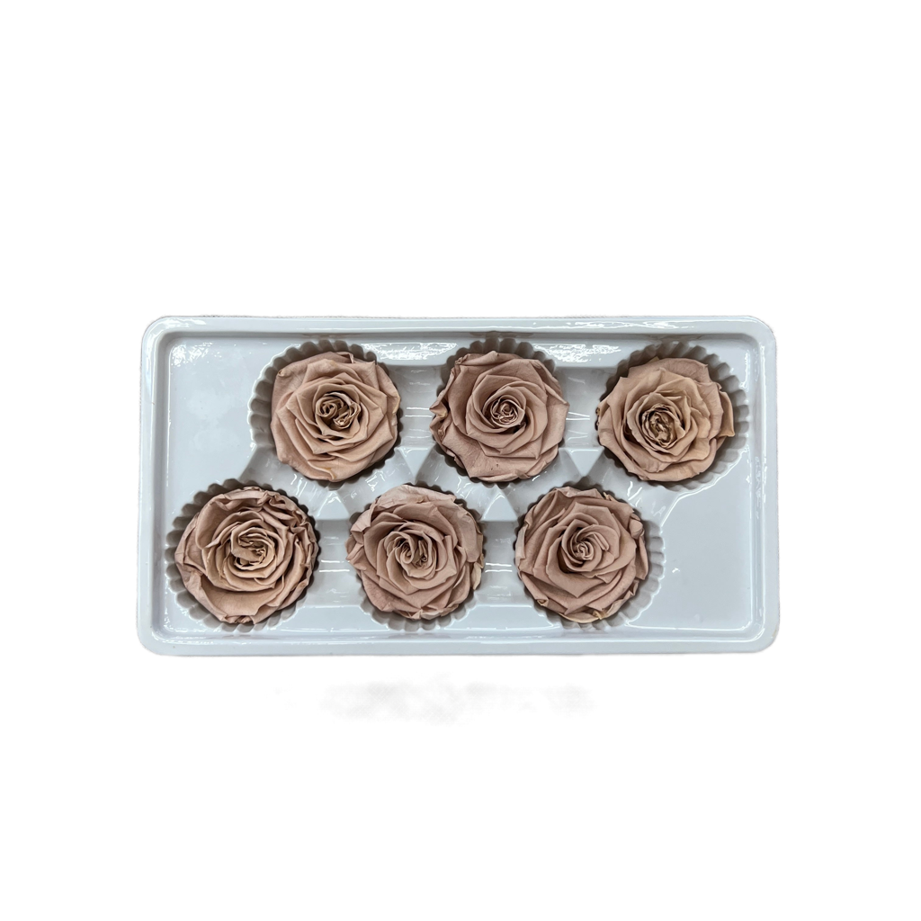 Preserved Roses Box (6 pcs)