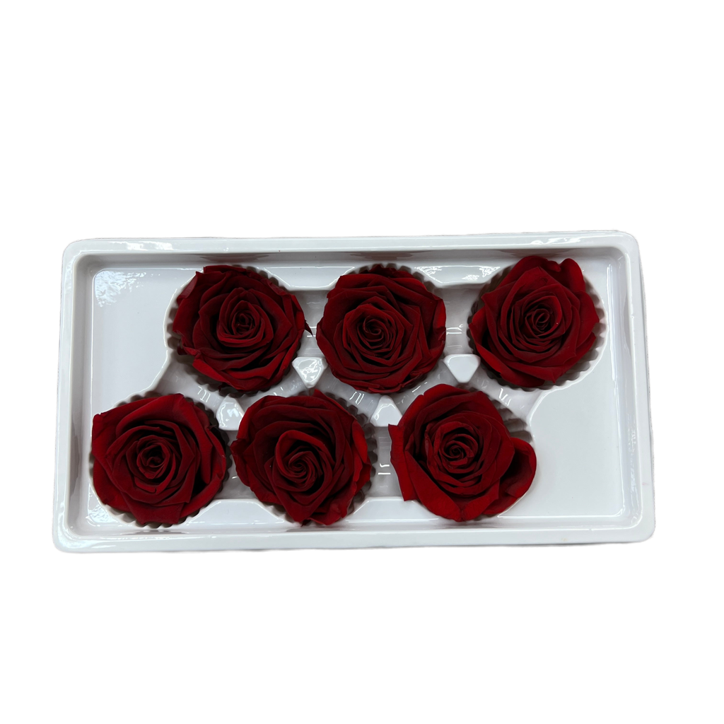 Preserved Roses (Red) 6 pcs